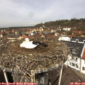 11_25-nest.jpg
