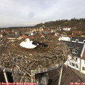 11_30-nest.jpg