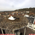 11_35-nest.jpg