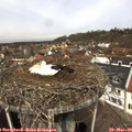 11_40-nest.jpg