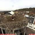 12_05-nest.jpg