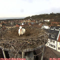 12_15-nest.jpg