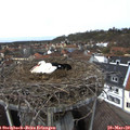 12_35-nest.jpg