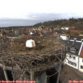 14_20-nest.jpg