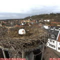14_25-nest.jpg