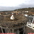 14_30-nest.jpg