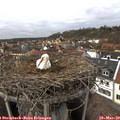 14_35-nest.jpg