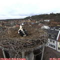 15_05-nest.jpg