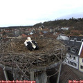 15_20-nest.jpg