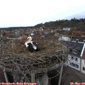 15_25-nest.jpg