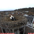 16_00-nest.jpg