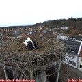16_05-nest.jpg