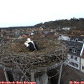 16_10-nest.jpg