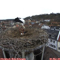 16_15-nest.jpg