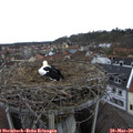 16_25-nest.jpg