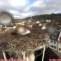 10_05-nest.jpg