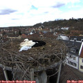 14_00-nest.jpg