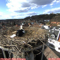 16_35-nest.jpg
