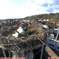 18_15-nest.jpg