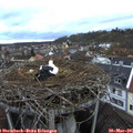 07_35-nest.jpg