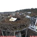 10_10-nest.jpg