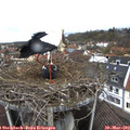 12_05-nest.jpg
