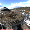 16_20-nest.jpg