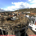 16_25-nest.jpg