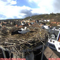 16_45-nest.jpg