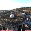 19_00-nest.jpg