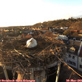 19_10-nest.jpg