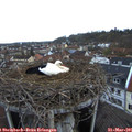 07_05-nest.jpg