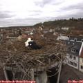 09_20-nest.jpg