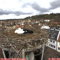 12_15-nest.jpg
