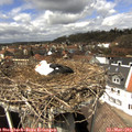 14_00-nest.jpg