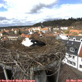 14_05-nest.jpg