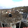 09_25-nest.jpg