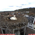 13_55-nest.jpg