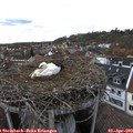 17_05-nest.jpg