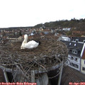 17_25-nest.jpg