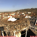 10_05-nest.jpg