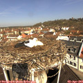 11_00-nest.jpg