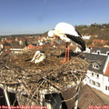 13_00-nest.jpg