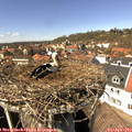 14_25-nest.jpg