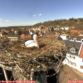 14_55-nest.jpg