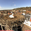 15_00-nest.jpg