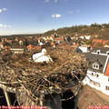 15_05-nest.jpg