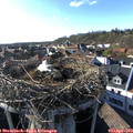 17_55-nest.jpg