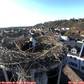 18_15-nest.jpg