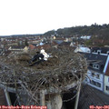07_05-nest.jpg